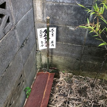 解体始まりました。