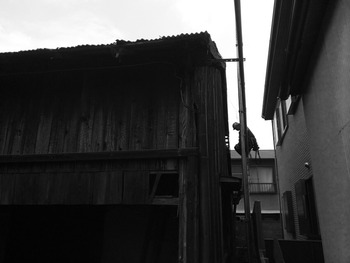 解体始まりました。