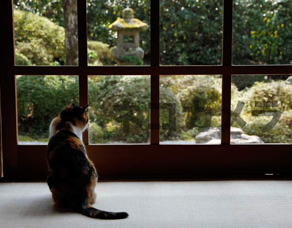 日本庭園