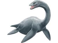 未確認生物ているの！？(後半)