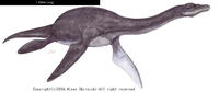 未確認生物ているの！？(後半)