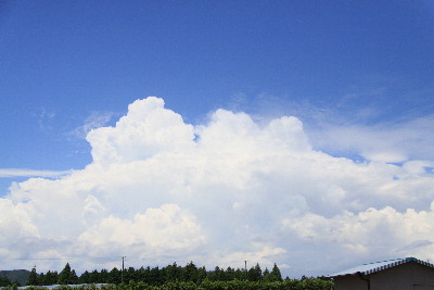 梅雨明けらしく北の雲