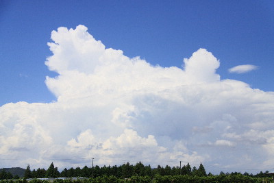 梅雨明けらしく北の雲