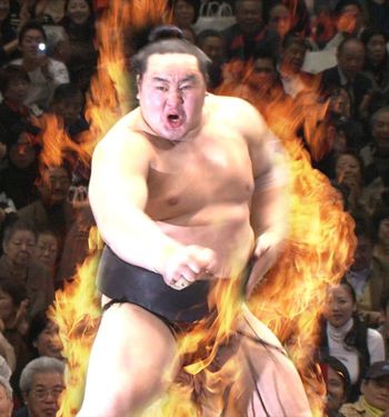 朝青龍引退