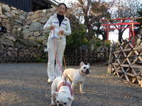 浜松城公園 2011/11/16 16:04:59