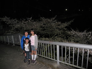 夜桜見物
