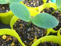 ２日目。 2012/02/11 21:18:29