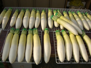 久しぶりに収穫