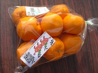 ポンカン完売御礼！