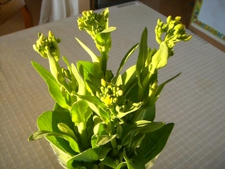 花びんの花