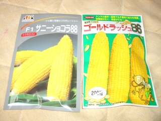 たね