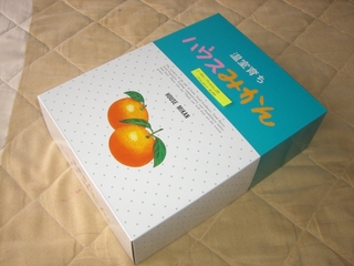 箱のサンプル