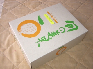 箱のサンプル