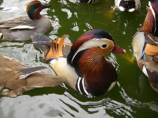 花鳥園と新東名