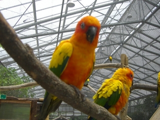 花鳥園と新東名