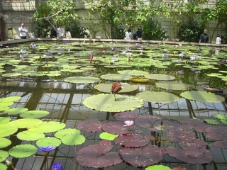 花鳥園と新東名