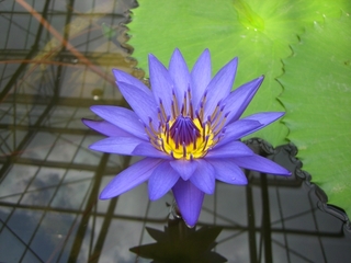 花鳥園と新東名