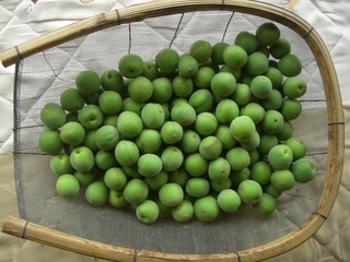 梅の砂糖漬けの季節