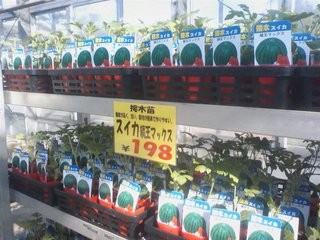 園芸店