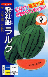 スイカを植えました。