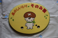 のこちゃんです・・・ふたたび