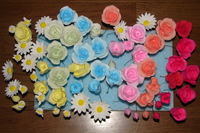 薔薇が咲いた♪