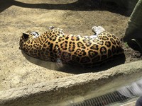 今週ー♪ 2012/03/31 19:40:35