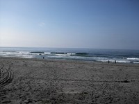 ぼちぼち 2012/04/15 15:08:41