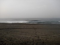 平日朝一初 2012/05/08 12:15:55