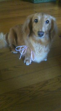 お久しぶり〜♪