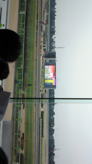 初競馬ヽ(´▽`)/　☆ﾉﾌﾞ☆