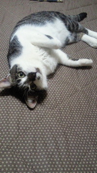 んぁ?? 2011/07/05 17:43:03