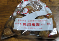 春を感じに・・！