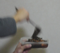 伸びーーる！