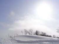 ２０１０年