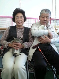 子猫がもらわれていきました