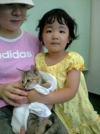 猫にふれあっていただきました 2008/07/07 01:22:25