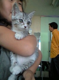 逢いに来てねぇ〜 2008/11/02 12:38:21