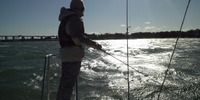 今日の浜名湖に 2011/12/04 19:27:27