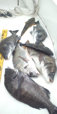 白昼の Ｔ Ｏ Ｐ 2012/07/09 00:45:05