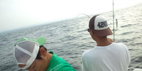 琵琶トモ　遠州灘・浜名湖漬け 2012/08/24 00:06:44
