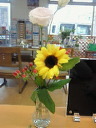 可愛いお花たち 2010/09/08 16:18:28