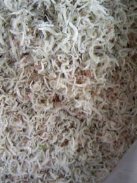 舞阪新物ちりめん 2008/04/02 06:17:31