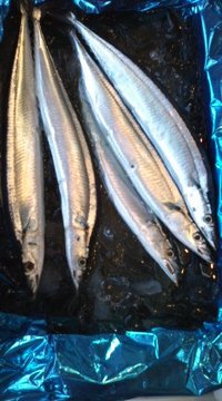 8月27日の記事 2010/08/27 09:55:02
