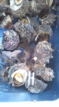 9月6日の記事 2010/09/06 09:41:46