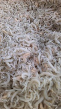 9月10日の記事 2010/09/10 09:43:25