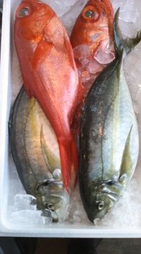 9月15日の記事 2010/09/15 09:55:21