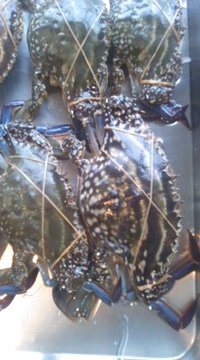 9月16日の記事 2010/09/16 09:42:32