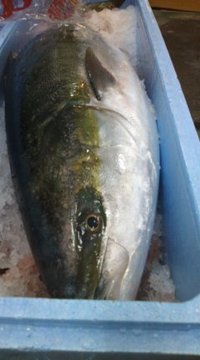 12月7日の記事 2010/12/07 09:34:32