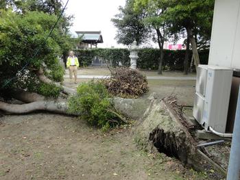 台風のあしあと。